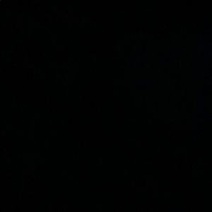 Meet your Posher, Vester